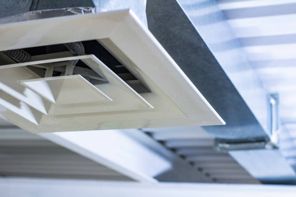 Best Professional Duct Cleaning Services  in Annandale, VA