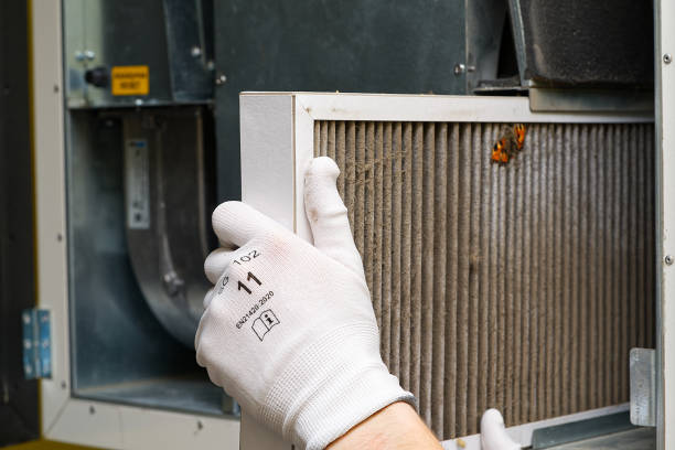 Best HVAC System Cleaning  in Annandale, VA