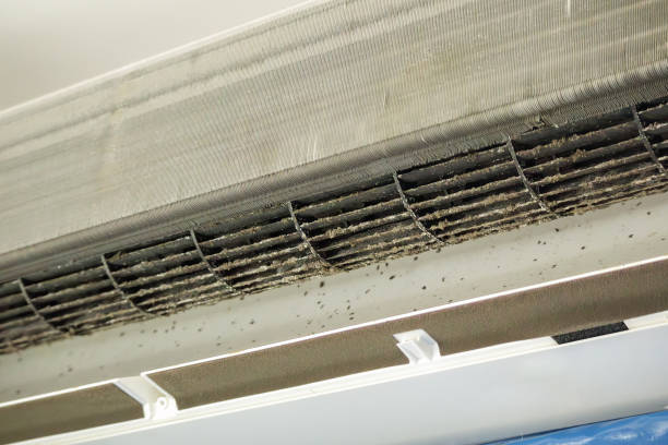 Best HVAC Air Duct Cleaning  in Annandale, VA